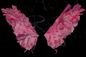 Goddess Collection: Reveille Wings